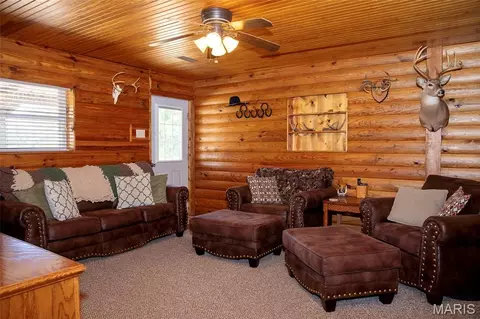 Living - 211 Henry Hicks Rd, Herod, IL 62947 photo 3 of 4