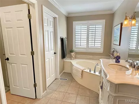 Bath - 17432 Hilltop Ridge Dr, Eureka, MO 63025 photo 3 of 7