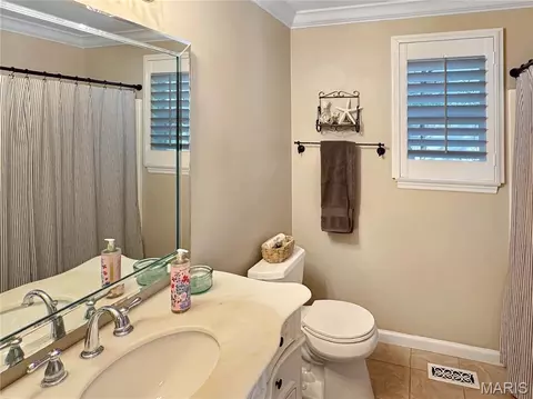 Bath - 17432 Hilltop Ridge Dr, Eureka, MO 63025 photo 6 of 7