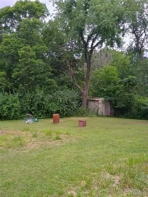 Exterior - 805 Phillips Ave, Salem, MO 65560 photo 3 of 4
