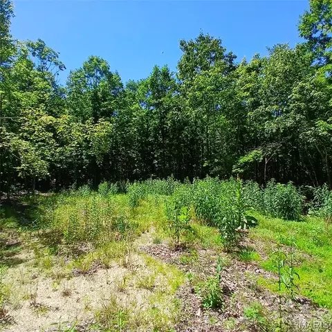 0000000 Easement, Annapolis, MO 63620 photo 16