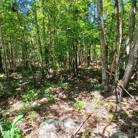 0000000 Easement, Annapolis, MO 63620 photo 17