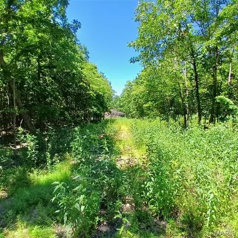0000000 Easement, Annapolis, MO 63620 photo 20