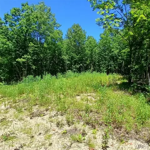0000000 Easement, Annapolis, MO 63620 photo 12