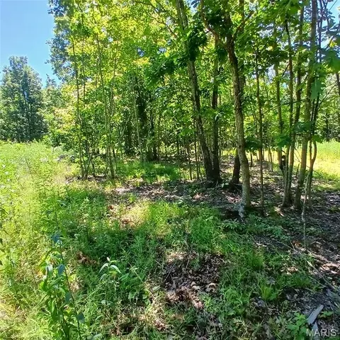 0000000 Easement, Annapolis, MO 63620 photo 14