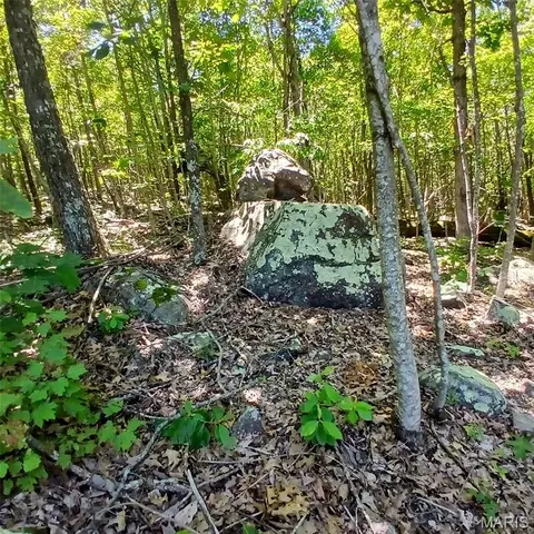 0000000 Easement, Annapolis, MO 63620 photo 3