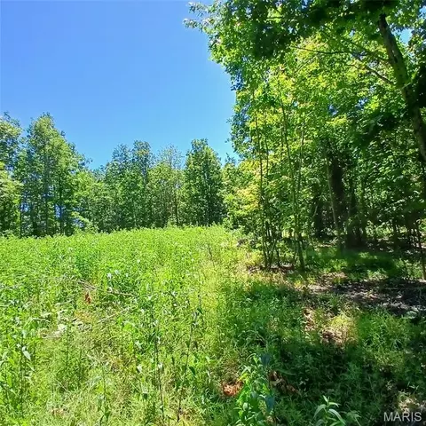 0000000 Easement, Annapolis, MO 63620 photo 19