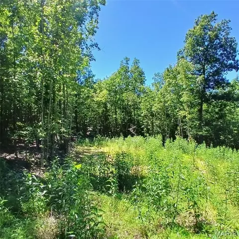 0000000 Easement, Annapolis, MO 63620 photo 8
