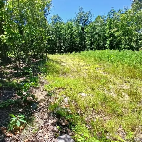 0000000 Easement, Annapolis, MO 63620 photo 18