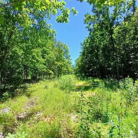 0000000 Easement, Annapolis, MO 63620 photo 9