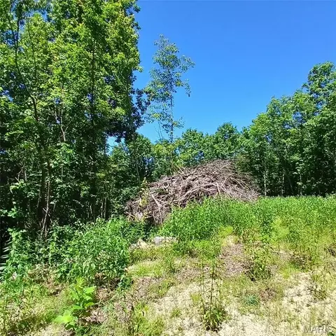 0000000 Easement, Annapolis, MO 63620 photo 5