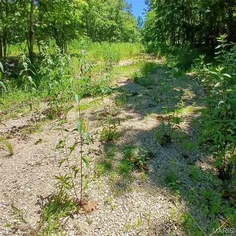 0000000 Easement, Annapolis, MO 63620 photo 4