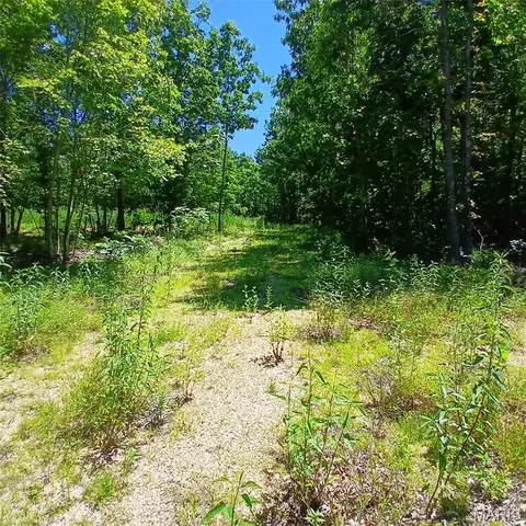 0000000 Easement, Annapolis, MO 63620 photo 15