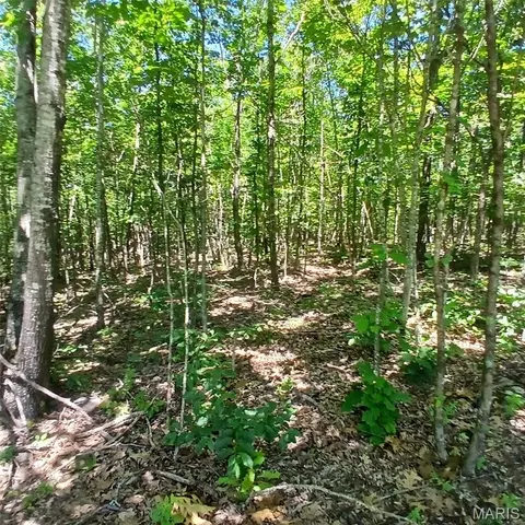 0000000 Easement, Annapolis, MO 63620 photo 11