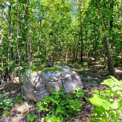 0000000 Easement, Annapolis, MO 63620 photo 2