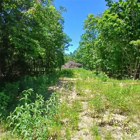0000000 Easement, Annapolis, MO 63620 photo 7