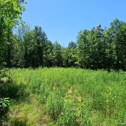 0000000 Easement, Annapolis, MO 63620