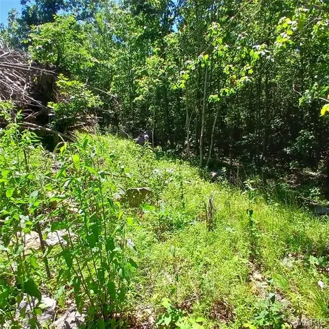 0000000 Easement, Annapolis, MO 63620 photo 10