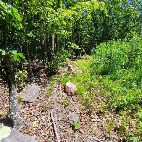 0000000 Easement, Annapolis, MO 63620 photo 6