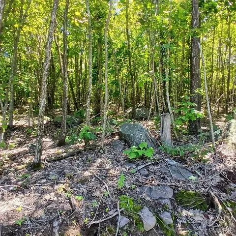 0000000 Easement, Annapolis, MO 63620 photo 13