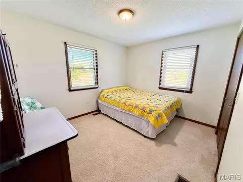 Bedroom - 180 E Woodard St, Leonard, MO 63451 photo 4 of 5