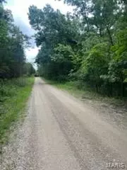 0 Rue Felice, Bonne Terre, MO 63628