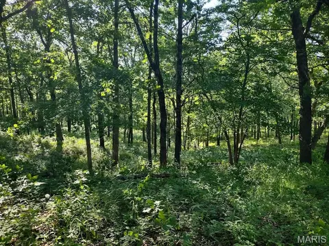 36501 Mohave Dr, Eldridge, MO 65463 photo 2