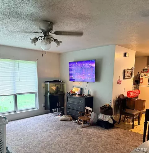 1176 County Road 523, Poplar Bluff, MO 63901