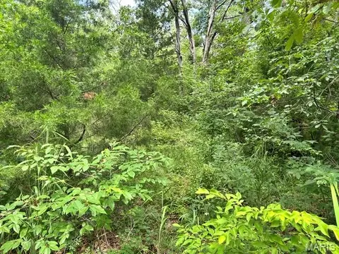 595 Utica Dr, Bismarck, MO 63624