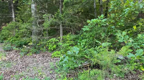 lot824 Woodson Rd, Owensville, MO 65066
