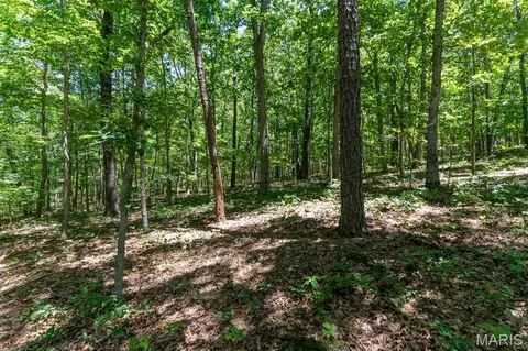 000 Lodge Rd, Bourbon, MO 65441 photo 8