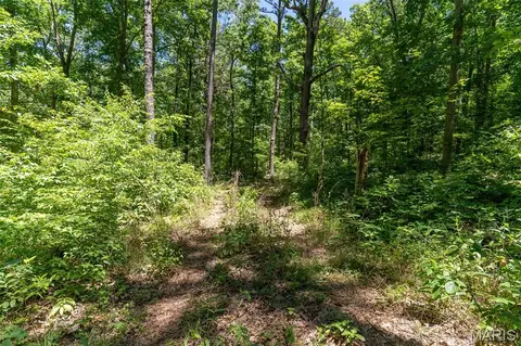 000 Lodge Rd, Bourbon, MO 65441 photo 14