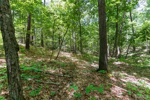 000 Lodge Rd, Bourbon, MO 65441 photo 7