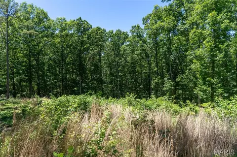 000 Lodge Rd, Bourbon, MO 65441 photo 15