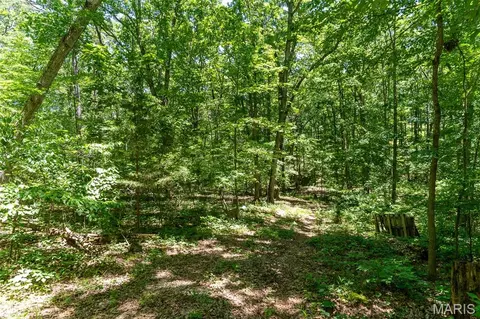 000 Lodge Rd, Bourbon, MO 65441 photo 6