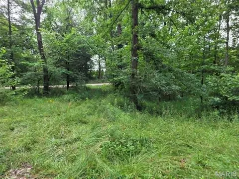 951 County Road 514, Wappapello, MO 63966