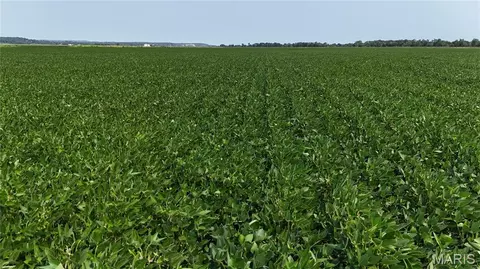 31 Acres, Foley, MO 63347 photo 7