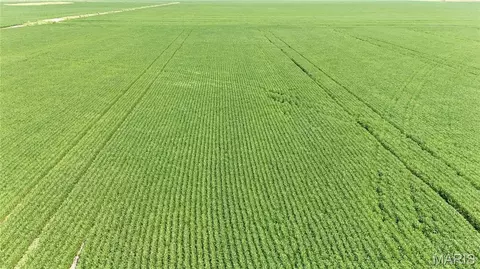 31 Acres, Foley, MO 63347 photo 8