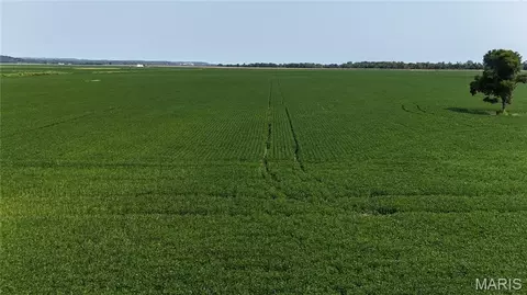 31 Acres, Foley, MO 63347 photo 10