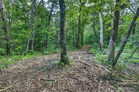 003 M- Cantrell Rd, Mansfield, MO 65704 photo 7