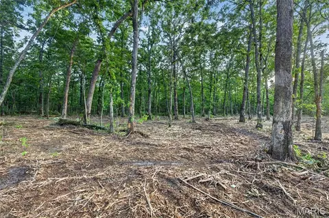 003 M- Cantrell Rd, Mansfield, MO 65704 photo 6