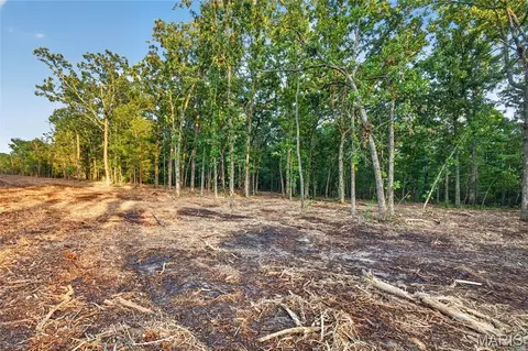 003 M- Cantrell Rd, Mansfield, MO 65704 photo 5