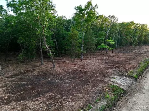 004 M- Cantrell, Mansfield, MO 65704 photo 16