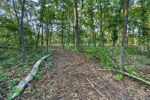 004 M- Cantrell, Mansfield, MO 65704 photo 14
