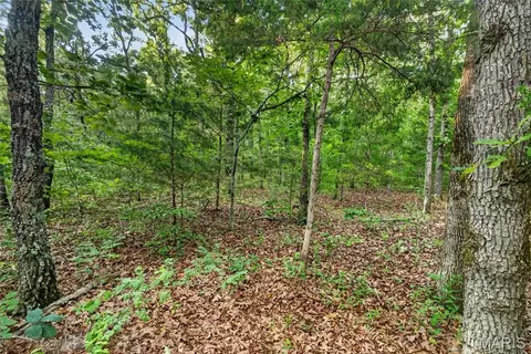 004 M- Cantrell, Mansfield, MO 65704 photo 12