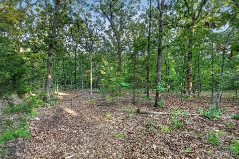 004 M- Cantrell, Mansfield, MO 65704 photo 10