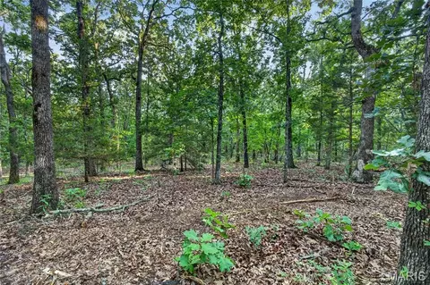 004 M- Cantrell, Mansfield, MO 65704 photo 9