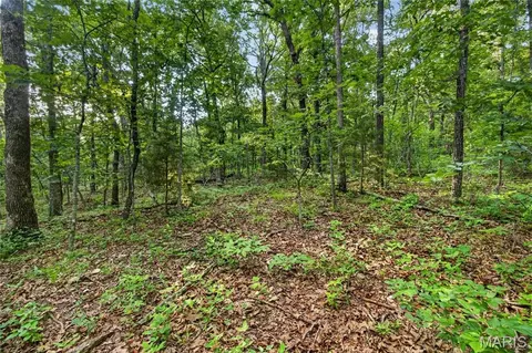 004 M- Cantrell, Mansfield, MO 65704 photo 13