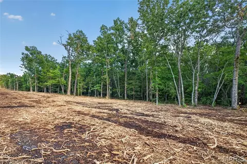 004 M- Cantrell, Mansfield, MO 65704 photo 4
