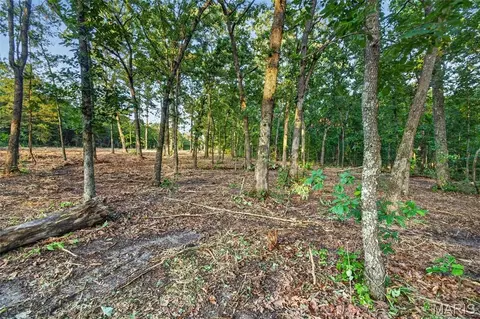 004 M- Cantrell, Mansfield, MO 65704 photo 8